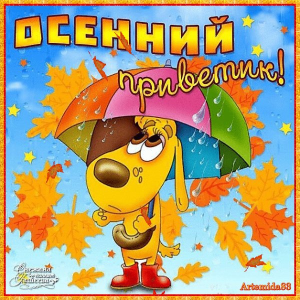 Осенний привет