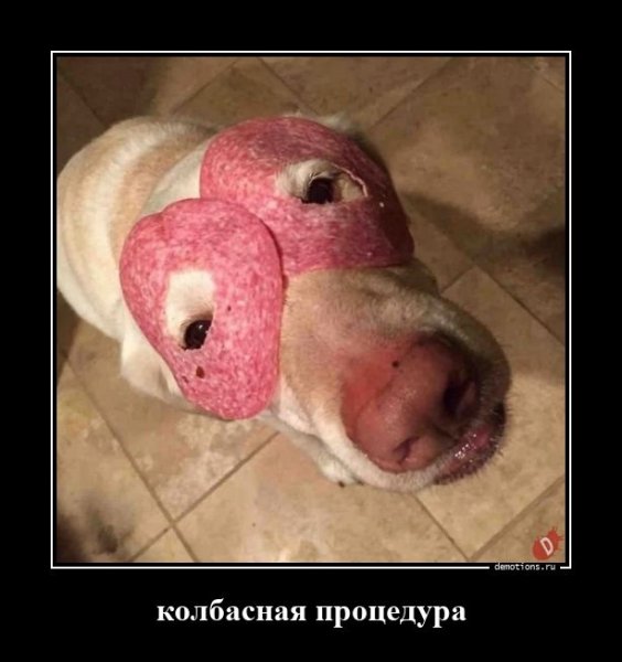 Колбасная процедура