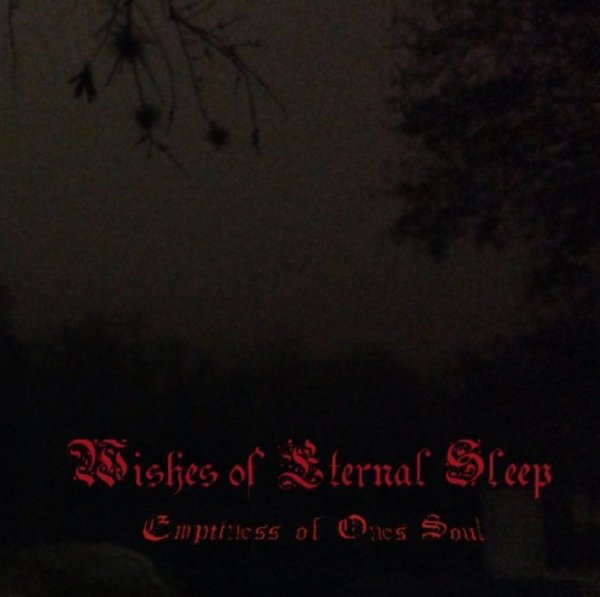 Wishes of Eternal Sleep - Shadowed in Darkness