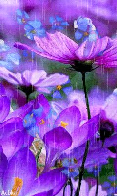 file_58346060