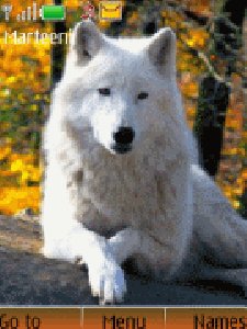 file_10183341