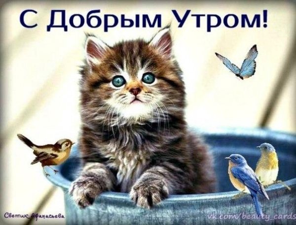 IMG 20190109 705480