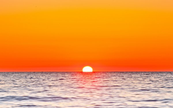 LIFEstyle News MiXture Images 1265 010
