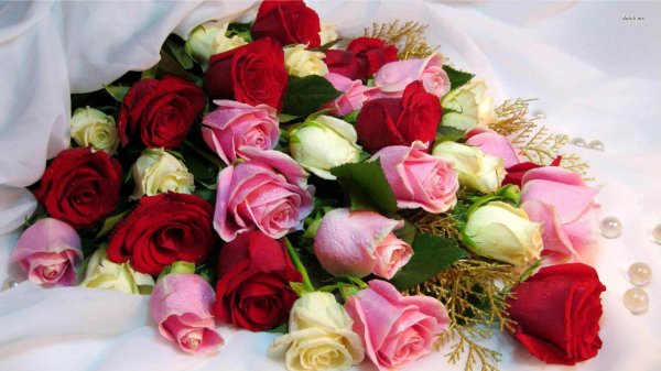 image (47)