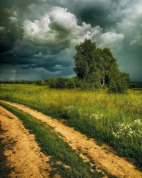 file_96746911