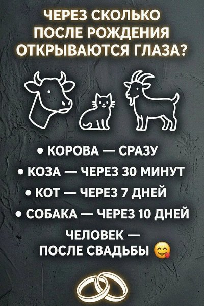 Когда открываются глаза?