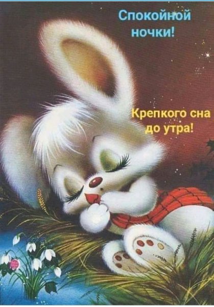 IMG 20190526 160810