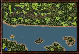 jungle