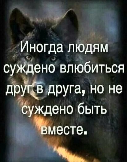 file_101343981