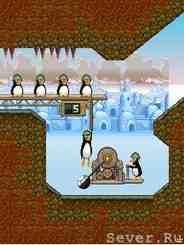 CrazyPenguinCa nok 320x240