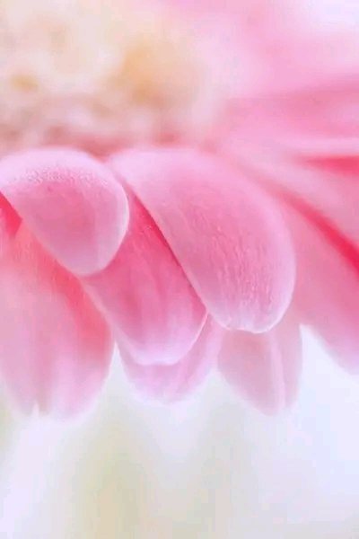 file_96209063