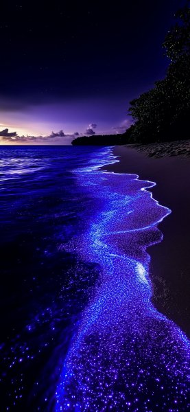file_100964786
