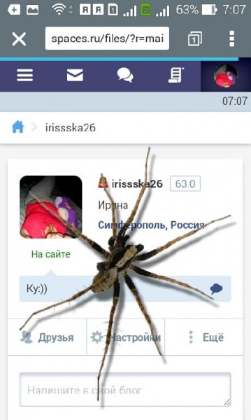 Spider in phone funny joke-10-