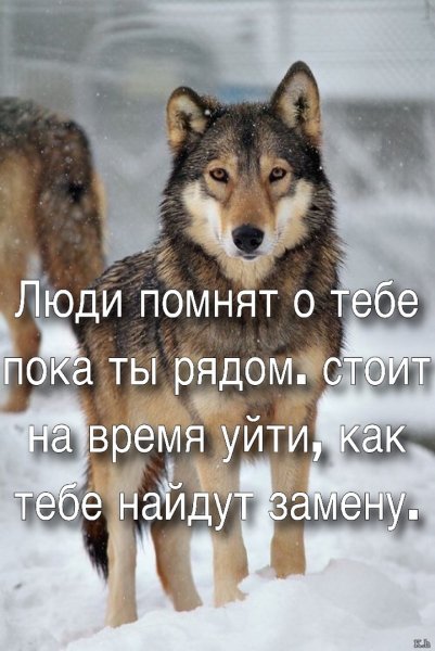 Со смыслом