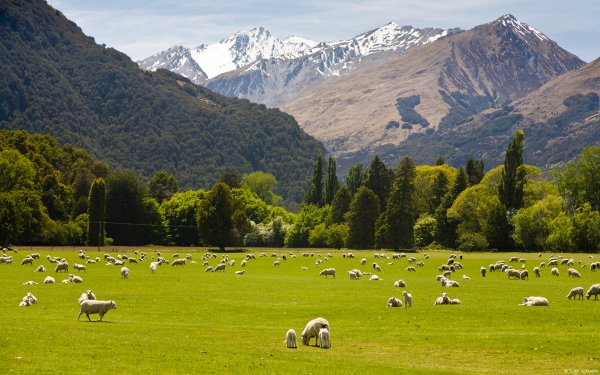 Community Showcase Rural Landscapes 2 tudor apmadoc