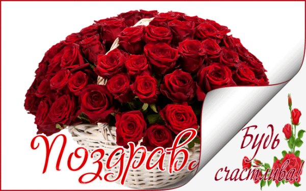 file_73473581