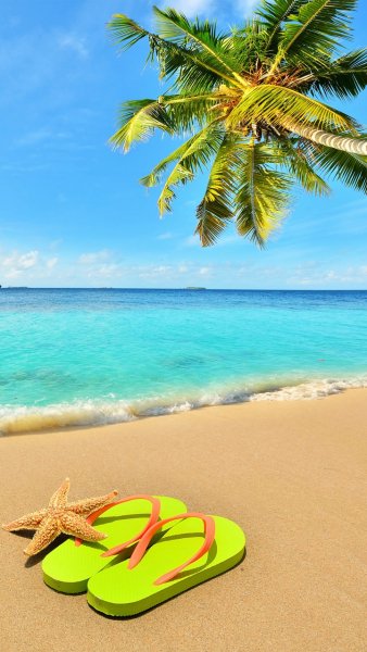 file_63343094