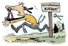FB IMG 1778184393655