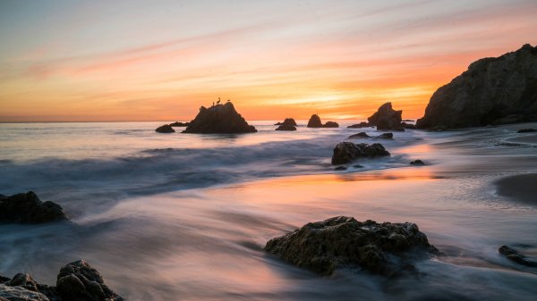 file_96719124