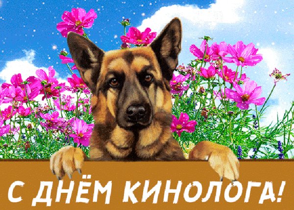 Анимированная открытка день кинолога