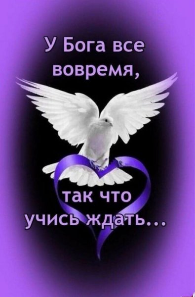 IMG 20210729 201145