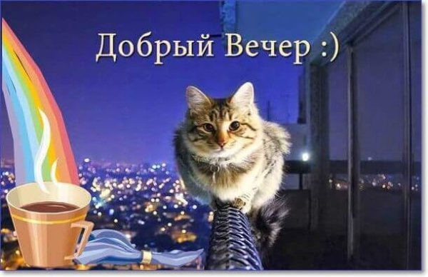 IMG 20181227 965144