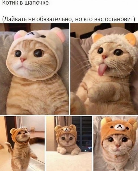 file_103170387