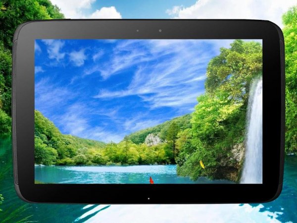 Forest Waterfall LWP