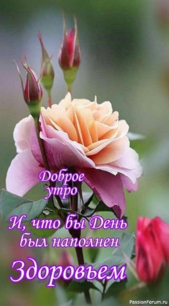 file_90991115