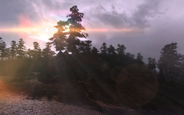 dynamic shaders 2.0ctp by meltac