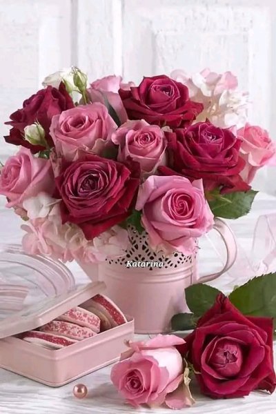 file_95827273