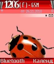Ladybug