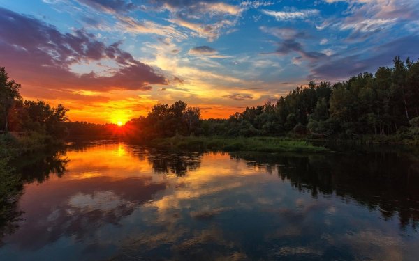 2з (1387) (Copy) (Copy)