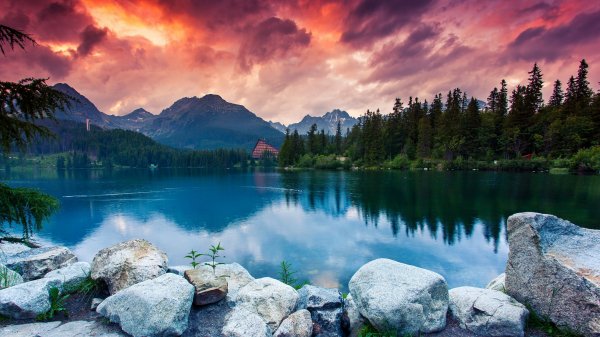 Backiee-87342-landscape