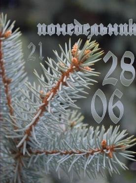 55
