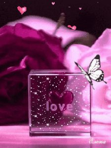 Beautiful Love