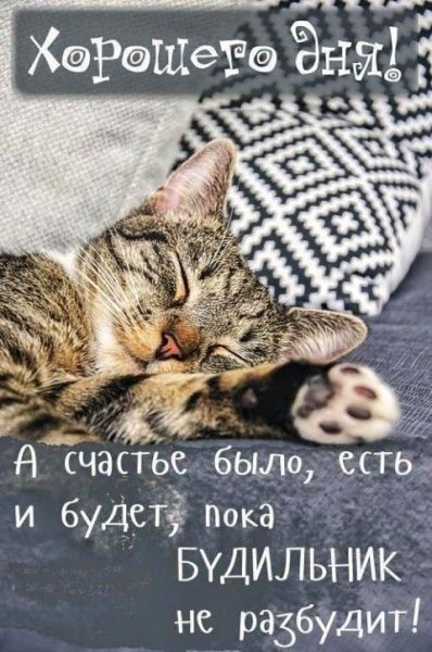 file_89440473