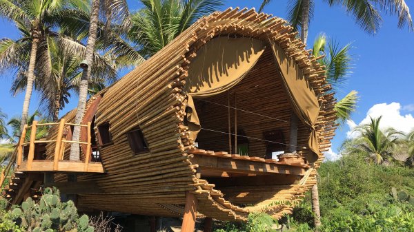 Treehouses Premium 5