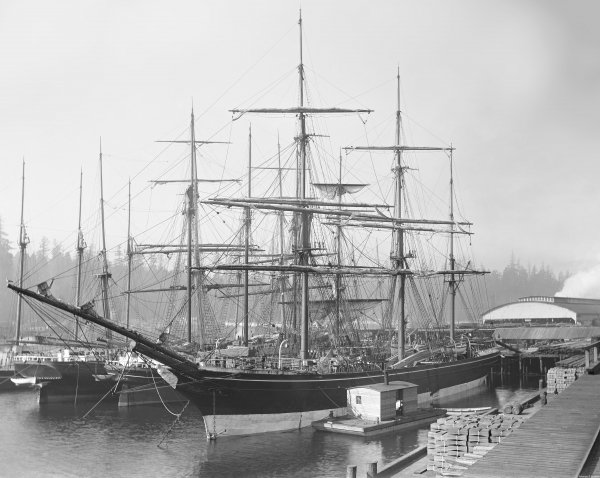 IMG viter59 Aldergrove barque 1875
