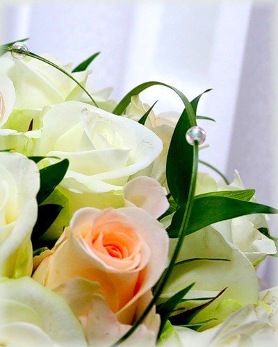 file_86462837