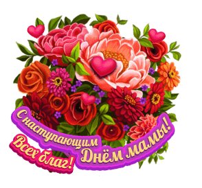 IMG 20201129 000538