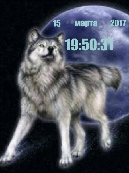 Волк