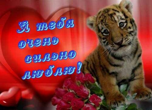 file_38579172