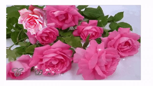 file_73145470