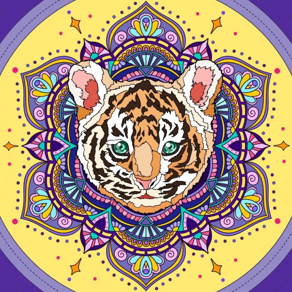 5e46ea166f5b829c55ea81bb