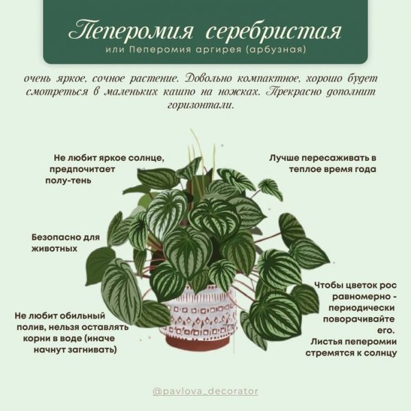 D749d1778c0d7cb5b9449235ff6ea96e