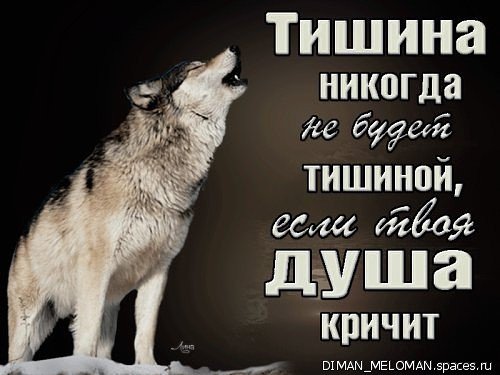 Тишина