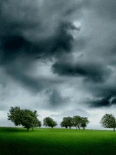 Animated Storm