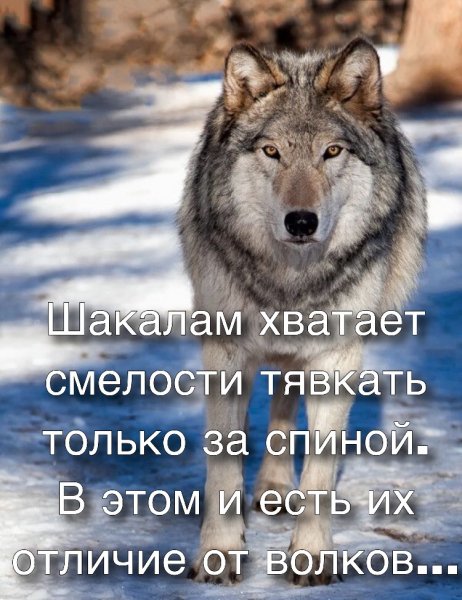 Отличие