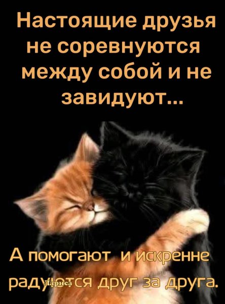 file_100233362
